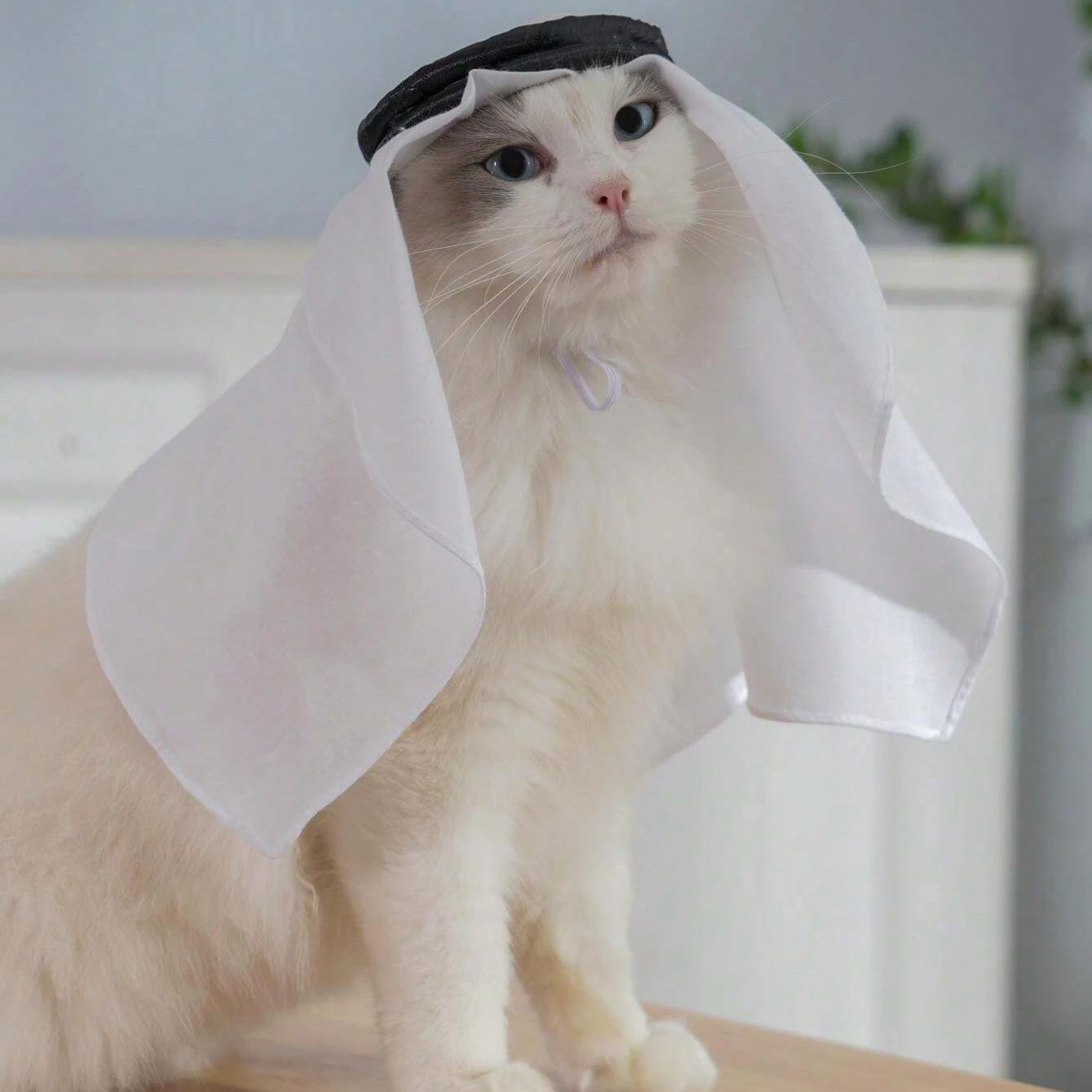 Gorro Bandana para mascotas, protector solar a prueba de viento, a prueba de arena, hecho a mano, disfraz para mascotas, mascota Cos, 1 ud. - imagen 3