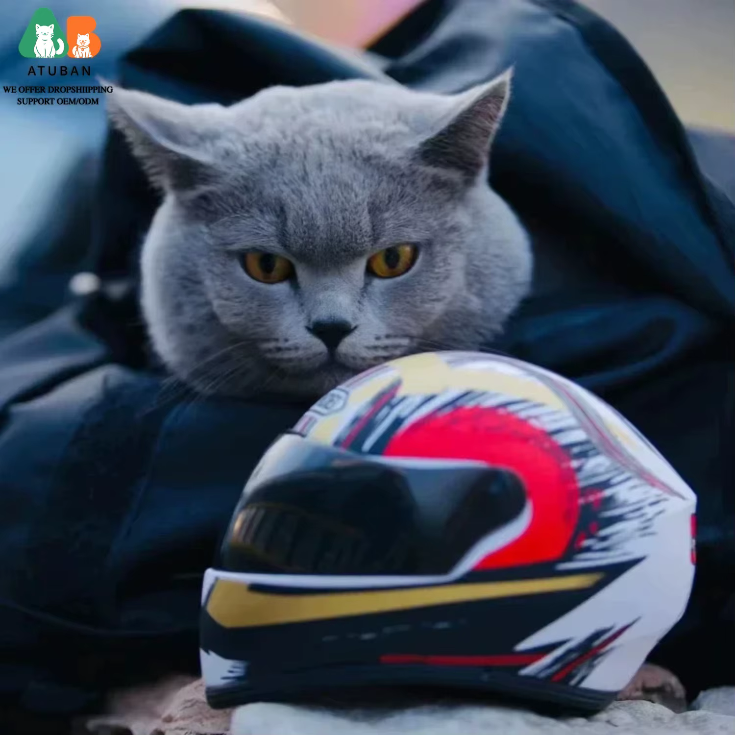 Casco Moto para Perros y Gatos – Accesorio Original - imagen 2