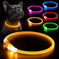 Collar LED para perro con luz intermitente y seguridad nocturna