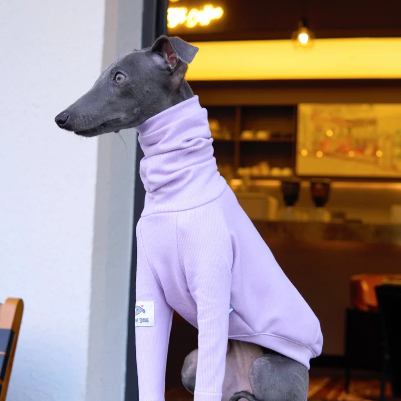 Ropa púrpura de 2 patas de Galgo Italiano, ropa de Whippet elástica suave, pijamas de algodón cálido para perros, otoño e invierno, moda