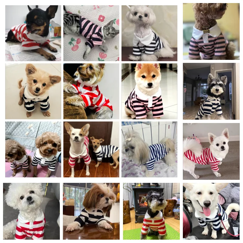 Ropa para perros, Polo a rayas de verano para perros, chaleco para mascotas para perros pequeños, camiseta interior para perros Chihuahua Bichon, sudaderas con capucha para cachorros, ropa para gatos - imagen 2
