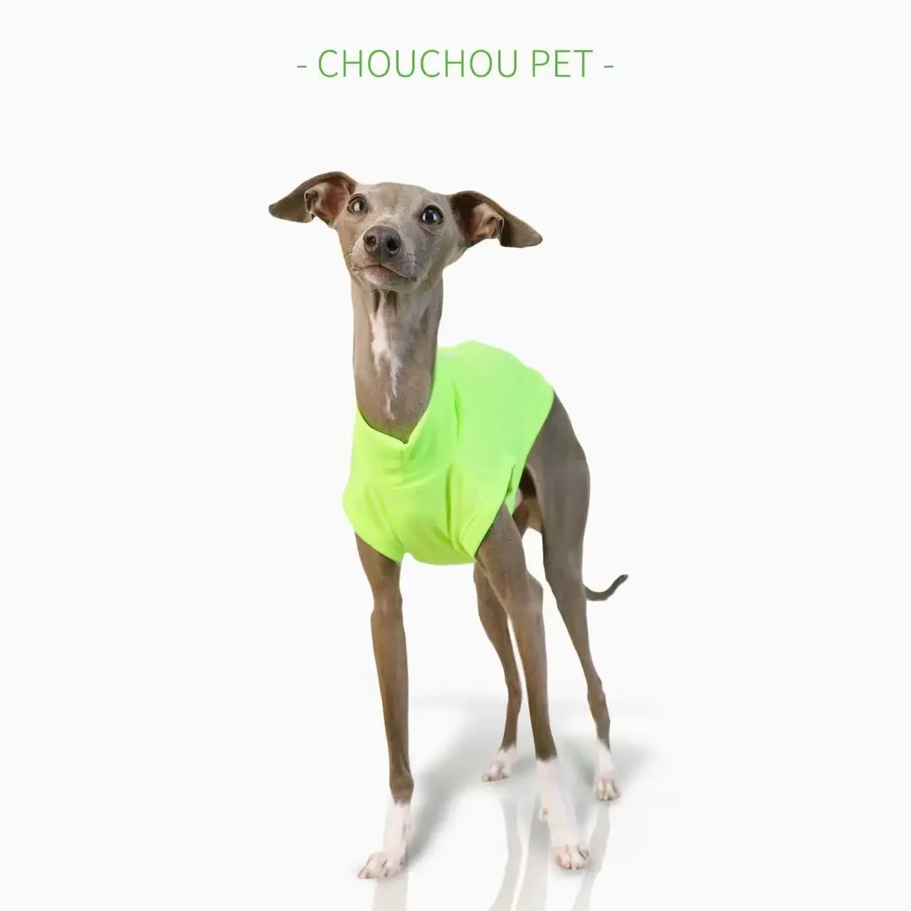 Iggy-Chaleco transpirable para perros pequeños y medianos, ropa para mascotas, protección solar al aire libre, fresco y cómodo, Verano - imagen 4