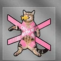 Tabby cat