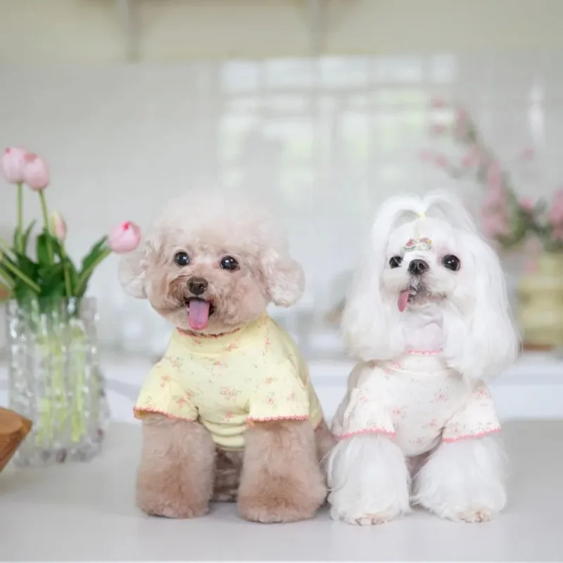 Camisa de encaje con Base Floral para perro, jersey con capucha a cuadros, ropa cálida y bonita para Gato, ropa para cachorros de oso de peluche compartida, invierno