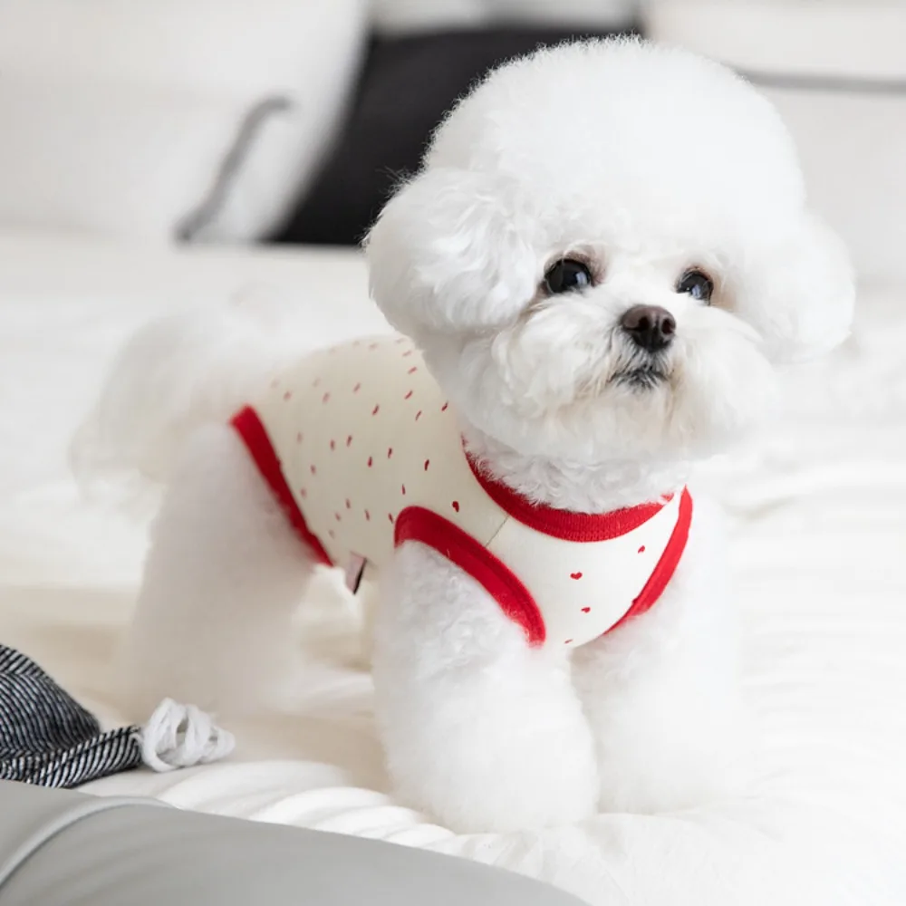 Otoño Invierno protección para mascotas vientre chaleco de cuatro patas pijamas para perros ropa de casa para mascotas oso de peluche ropa sin mangas ropa para cachorros - imagen 2