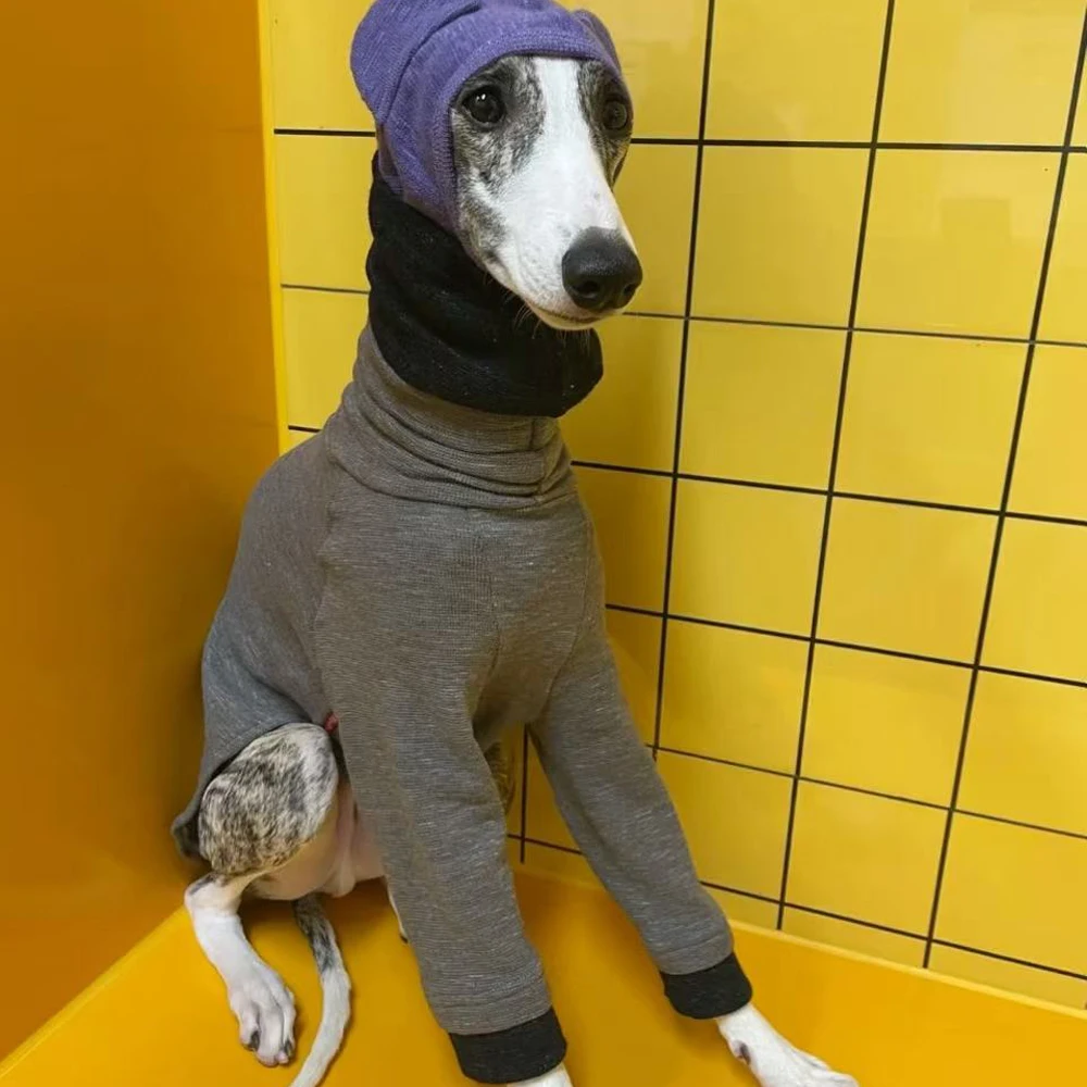Ropa de primavera para perros: galgo italiano y Whippet, cuello alto - imagen 3
