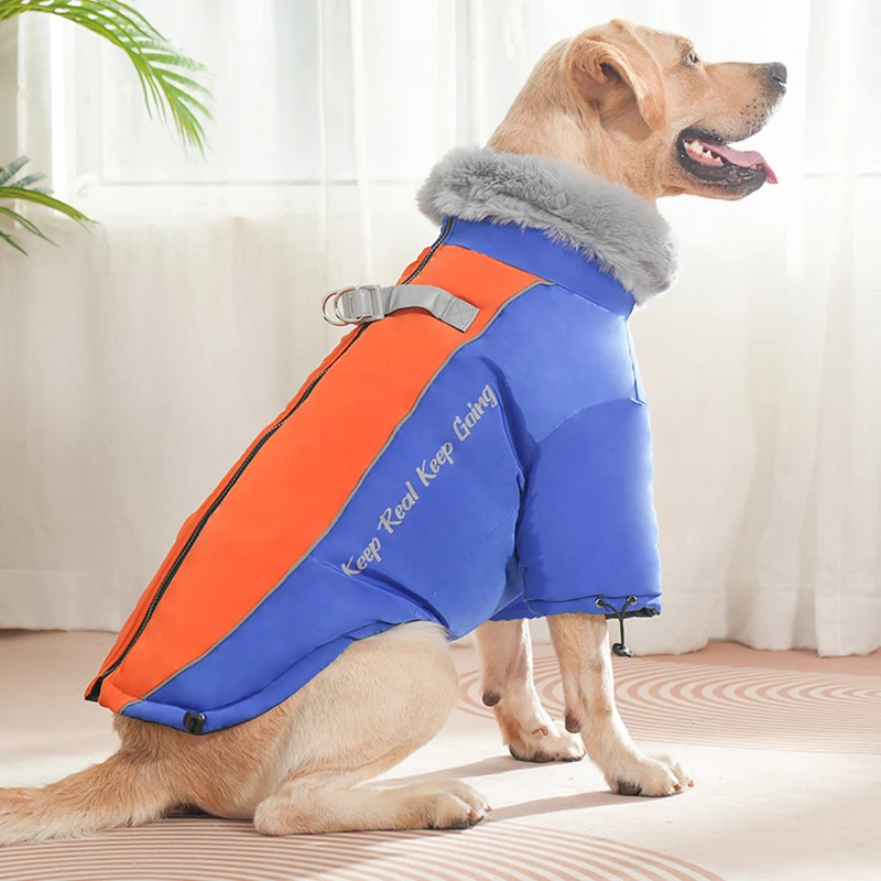 Empaque y contenido del producto