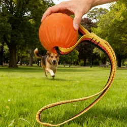 Divertido juguete de bola hueca de Eva para mascotas, juguetes resistentes para perros, juguete foño seguro para perros, adecuado para perros grandes, medianos y pequeños
