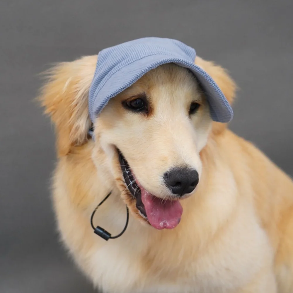Gorra béisbol ajustable perros grandes y medianos: Golden Retriever - imagen 4