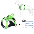 Green dogharness set