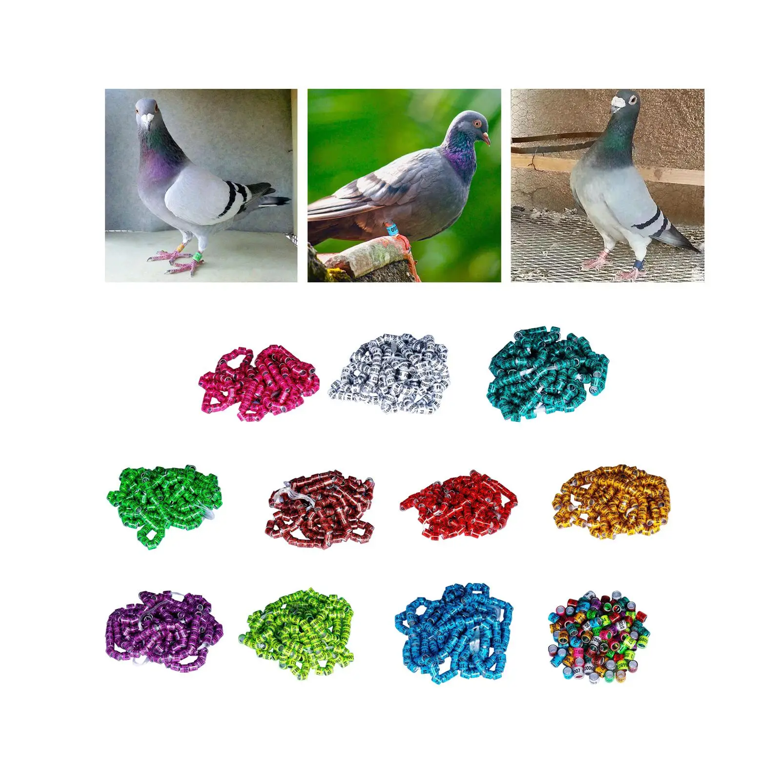 Anillos de identificación para palomas en aluminio numerado - imagen 4