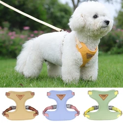 Arnés y correa para perros pequeños – Chihuahua Caniche Bichón