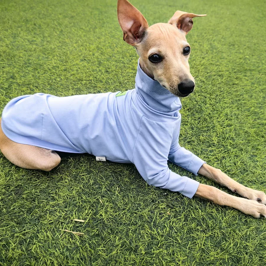 Camiseta de algodón azul suave para ropa de perro huibit abrigo elástico primavera otoño para pijama de cuello alto bedlington Little Greyhound - imagen 4