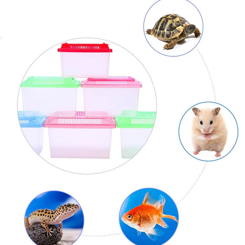 Acuario de alimentación transparente portátil, productos para mascotas, tanque de peces dorados, tanque de tortuga, caja para hámster - imagen 3