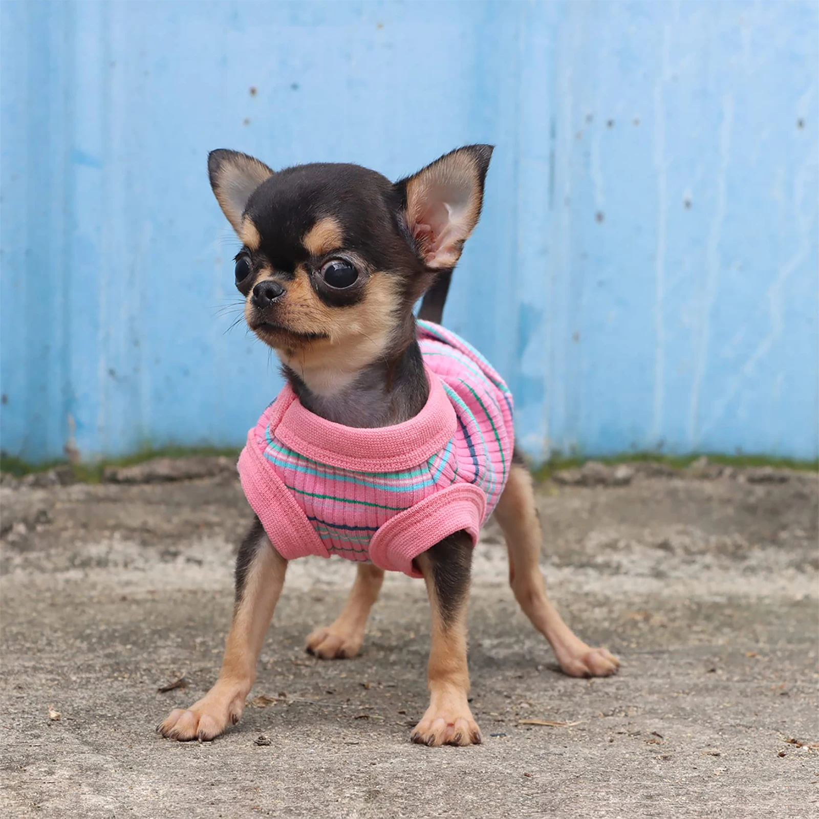 Chaleco de camisa para perros acanalados para perros pequeños, ropa para cachorros de Chihuahua, camiseta sin mangas, rosa - imagen 4