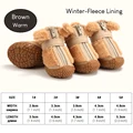 Winter-brown