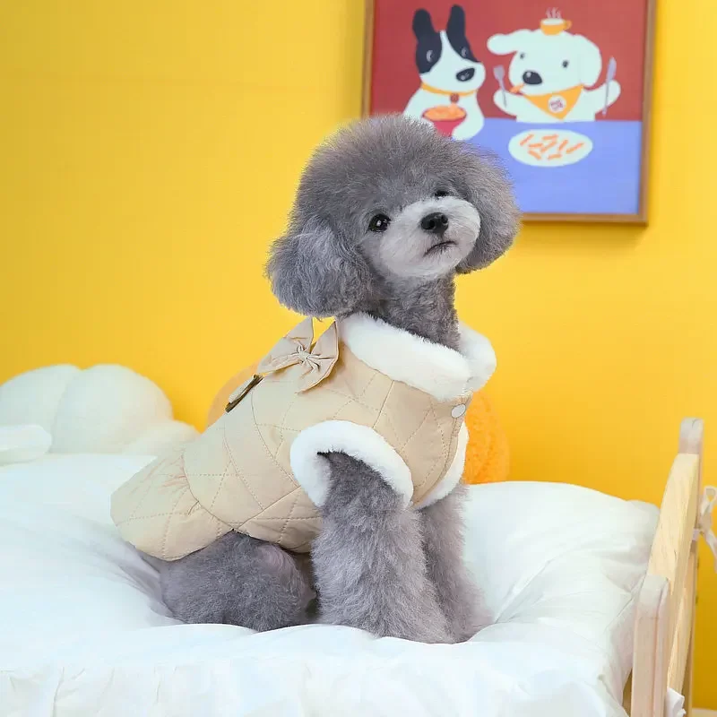 Abrigo grueso con lazo para mascota, falda de encaje de felpa para perro, oso de peluche, gato, perro pequeño, ropa de Navidad para cachorro, Otoño e Invierno - imagen 4