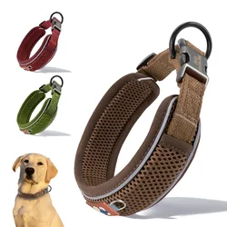 Collar personalizado para perros - reflectante y grabado gratis