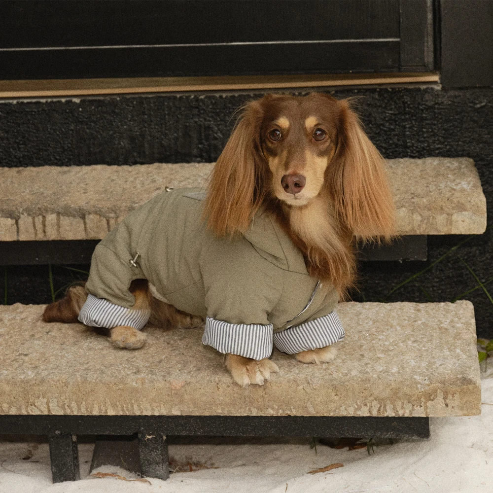 Abrigo de plumón para perro Dachshund – Chaqueta cálida invierno - imagen 2
