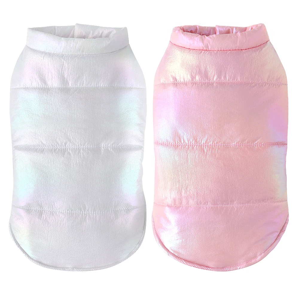 Perro pequeño con chaqueta impermeable acolchada para invierno