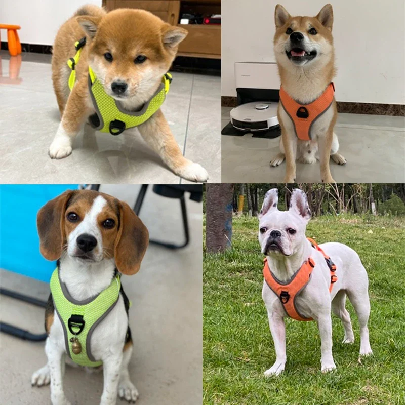 Winhyepet-Arnés reflectante de nailon para mascotas, chaleco para perros, antiescape, al aire libre, senderismo, accesorios para Yorkie, cachorro, grande - imagen 3