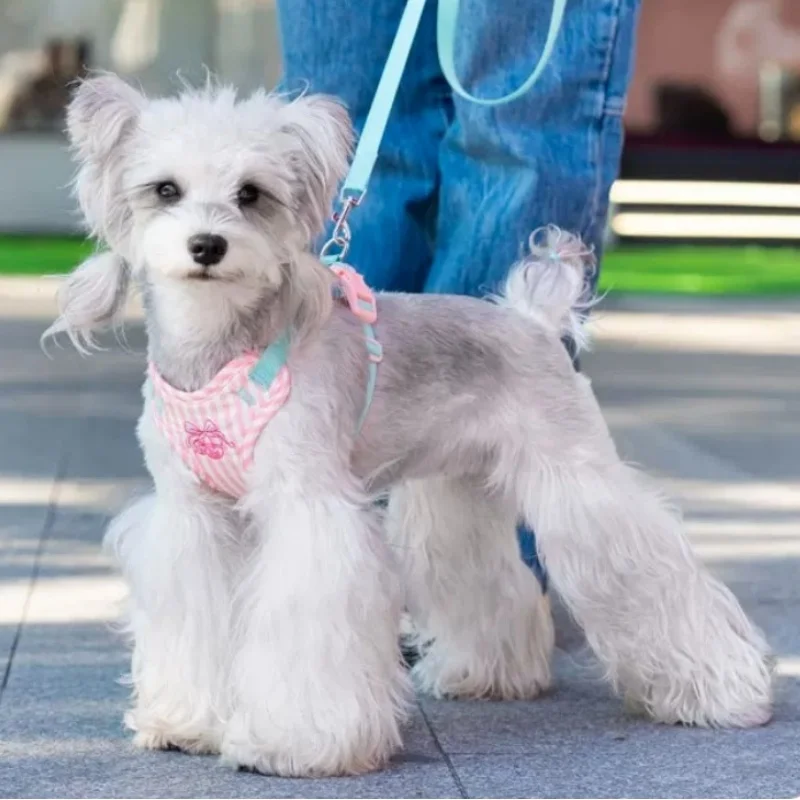 Arnés suave para perro con cerezas y chaleco ajustable para gato - imagen 4