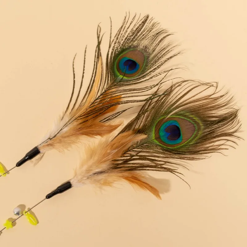 Jouets pour chats, bâtons de plumes, ressorts, poignée en fil d'acier, plume de paon, jouet interactif résistant aux morsures, jouets pour taquiner les chats - imagen 3