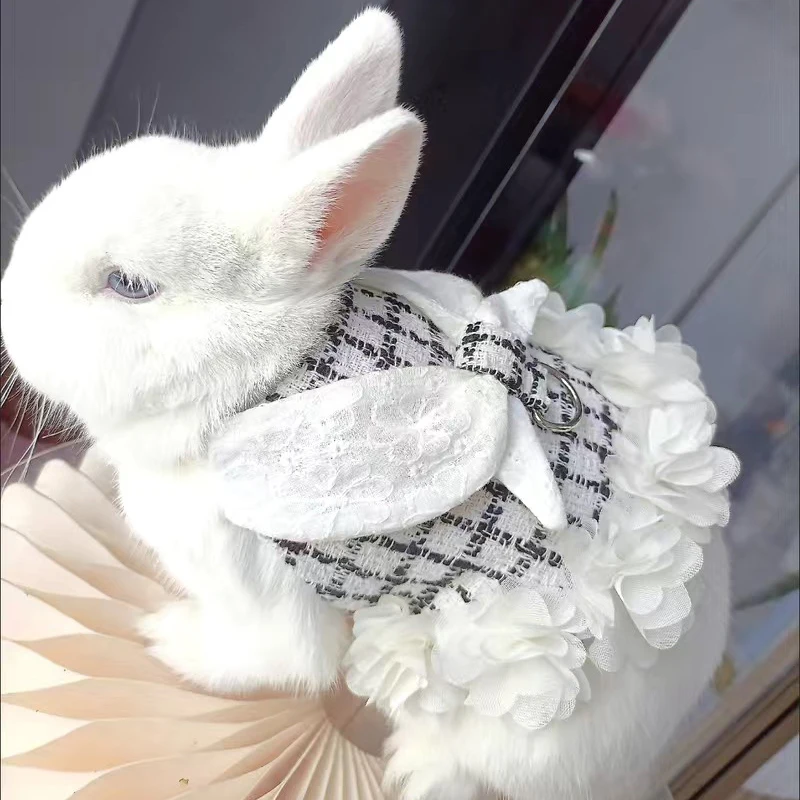 Conjunto de arnés y correa para conejitos y gatitos, arneses ajustables para mascotas para animales pequeños, conejitos, accesorios para caminar al aire libre - imagen 4