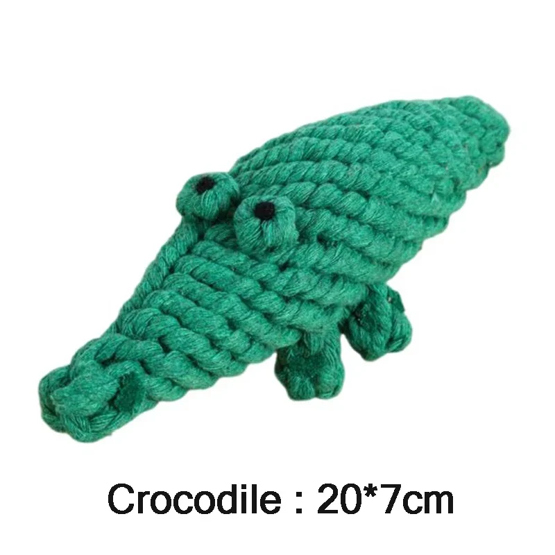 Crocodile