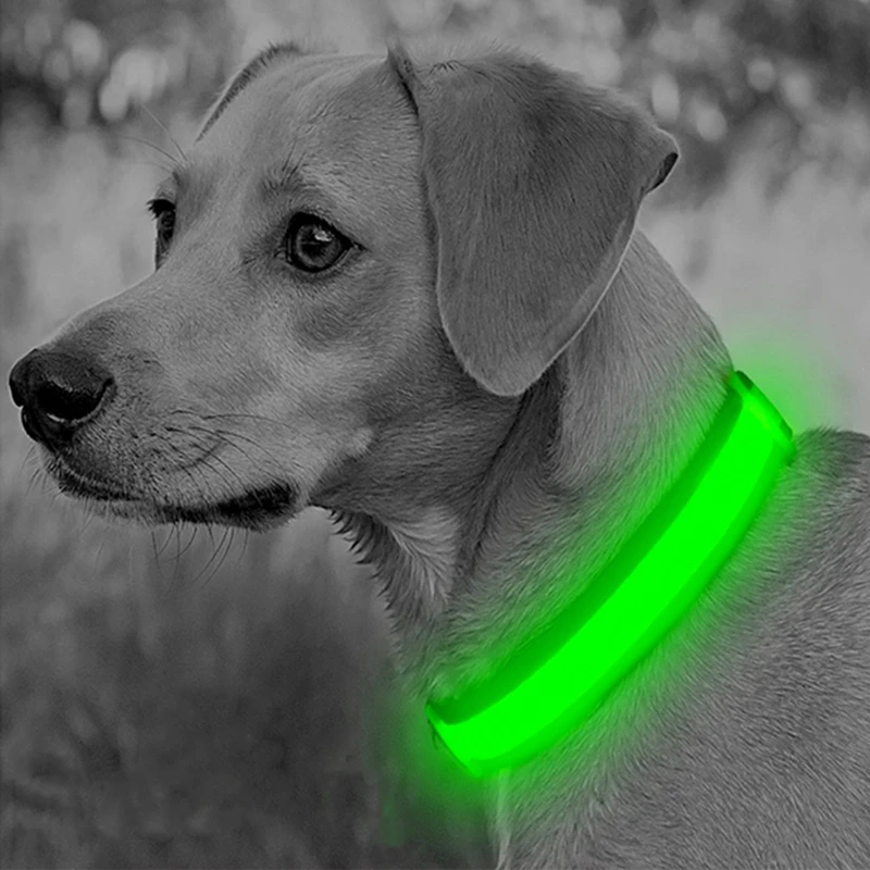 Collar luminoso LED, Collar brillante ajustable para perro, recargable por USB, intermitente, antipérdida/a evita accidentes del coche, productos para perros y mascotas - imagen 2