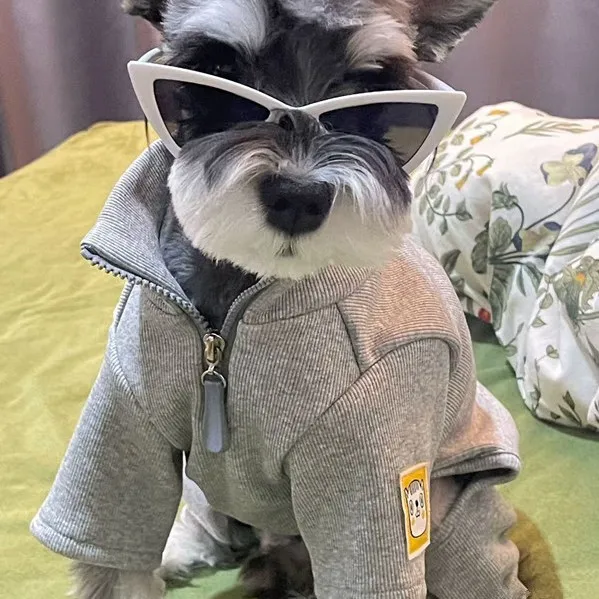 Camisa inferior de cuatro patas con cuello alto para otoño e invierno para mascotas, camisa inferior de cuatro patas para perros, Schnauzer, oso, Teddy, pijamas para perros, ropa para cachorros - imagen 2