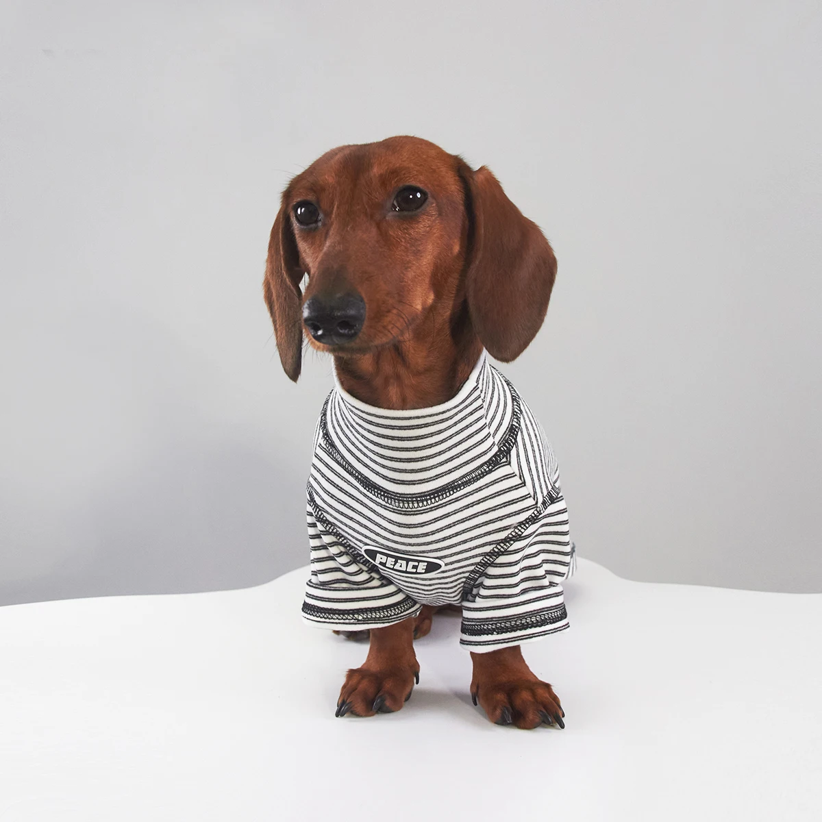 Pijama rayado de cuello alto para perro salchicha – Ropa térmica pequeña - imagen 5