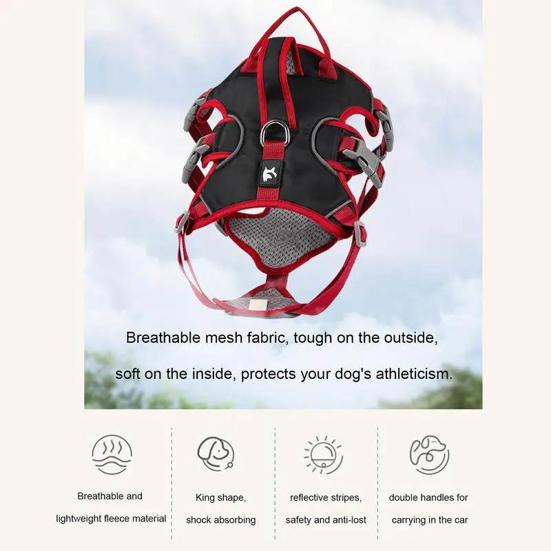 Arnés de entrenamiento para perros de tamaño mediano, chaleco reflectante, cómodo, acolchado, con correa - imagen 4