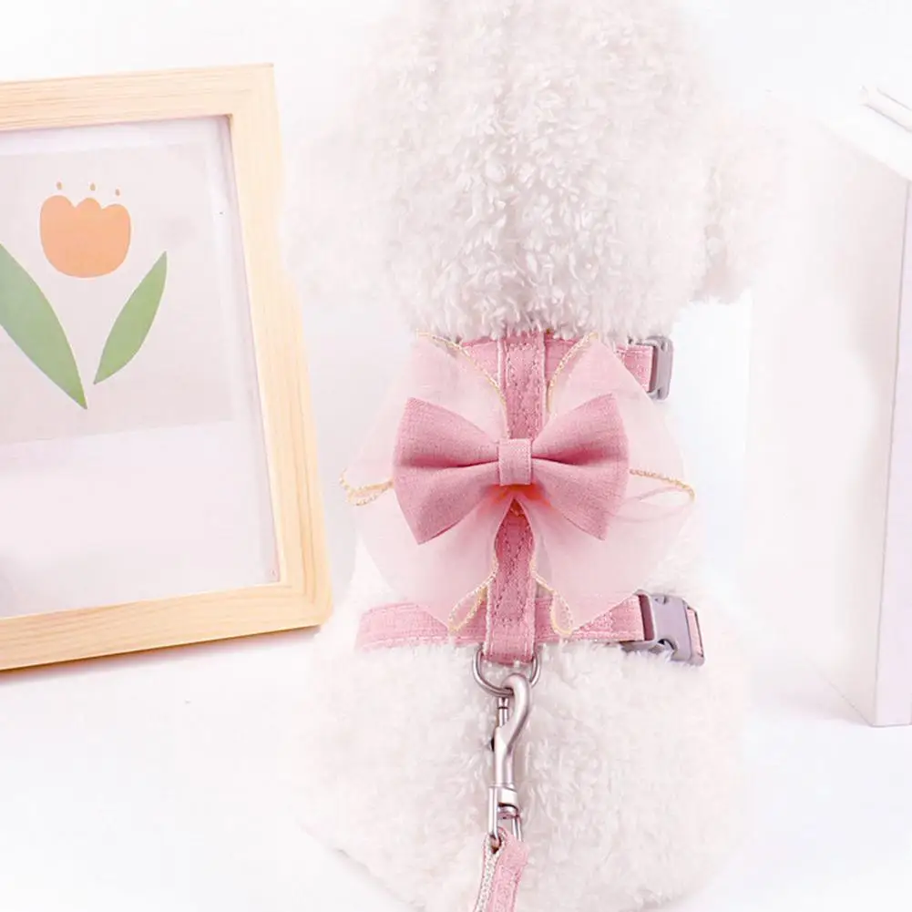 Conjunto de correa de arnés desmontable para perro y gato, conjunto de arnés para mascotas - imagen 4