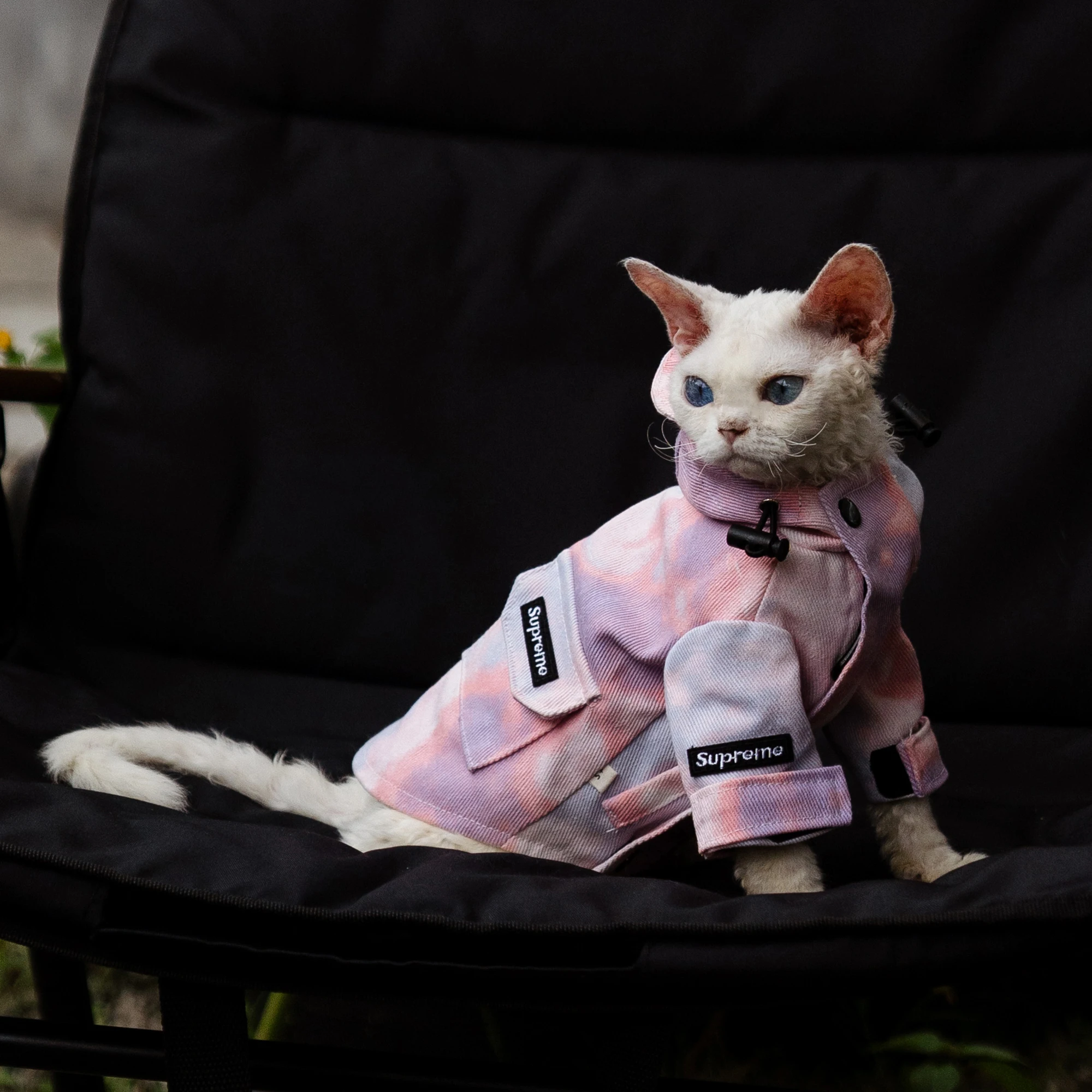 Chaqueta de lujo para exteriores para gatos, ropa impermeable a la moda para gatos Sphynx, abrigo grueso con capucha a prueba de viento para suministros para gatos Devon Rex - imagen 5