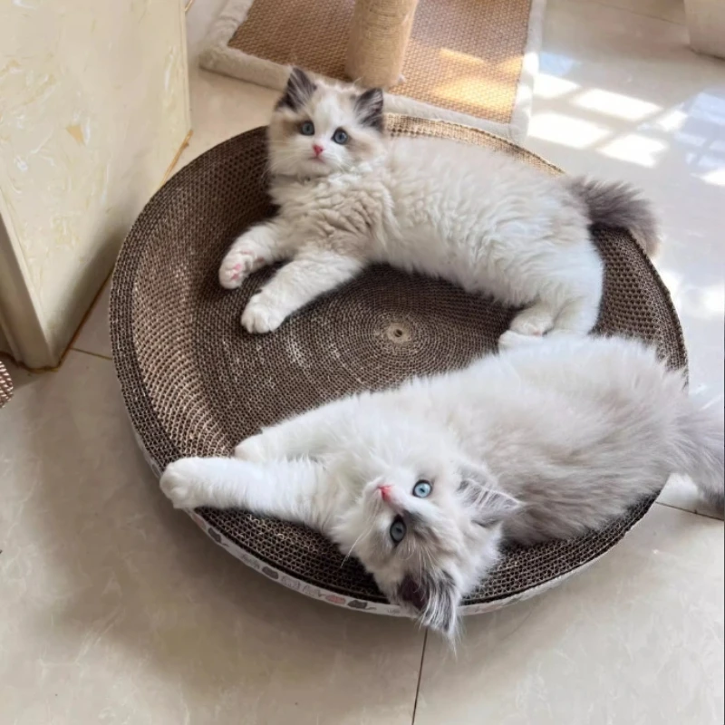 Corrugated Cat Scratching Post, 2-in-1 Wear-resistant Scratcher & Cat Bed, Corrugated Cardboard Scratcher, Interactive Cats Toy - imagen 4