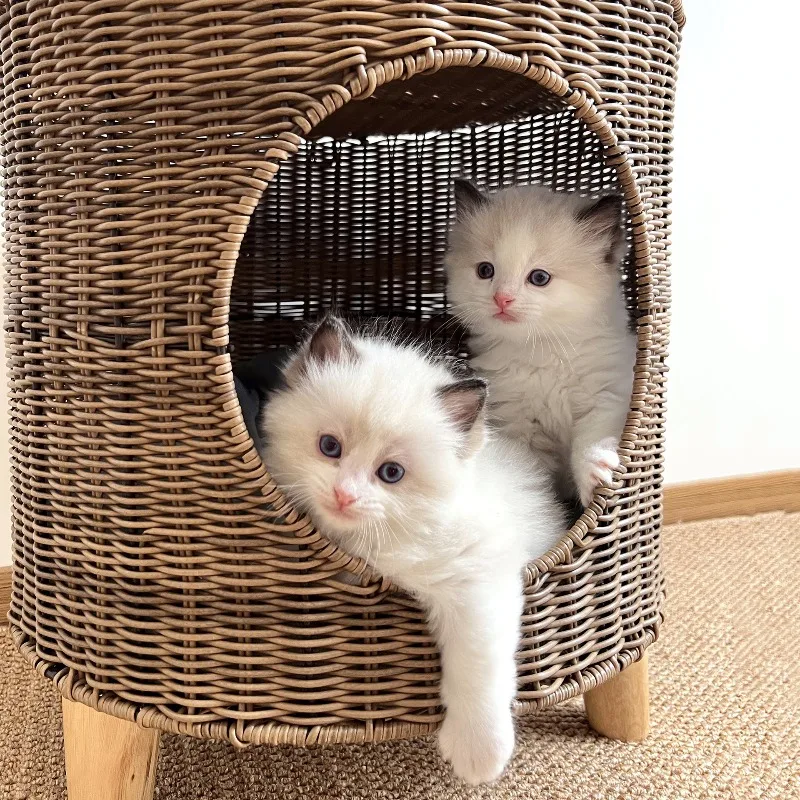 Cama para gatos tejida a mano, cama para gatos semicerrada de imitación de vid tejida, transpirable para todas las estaciones, camas para gatos suaves y ecológicas, nido para mascotas - imagen 3