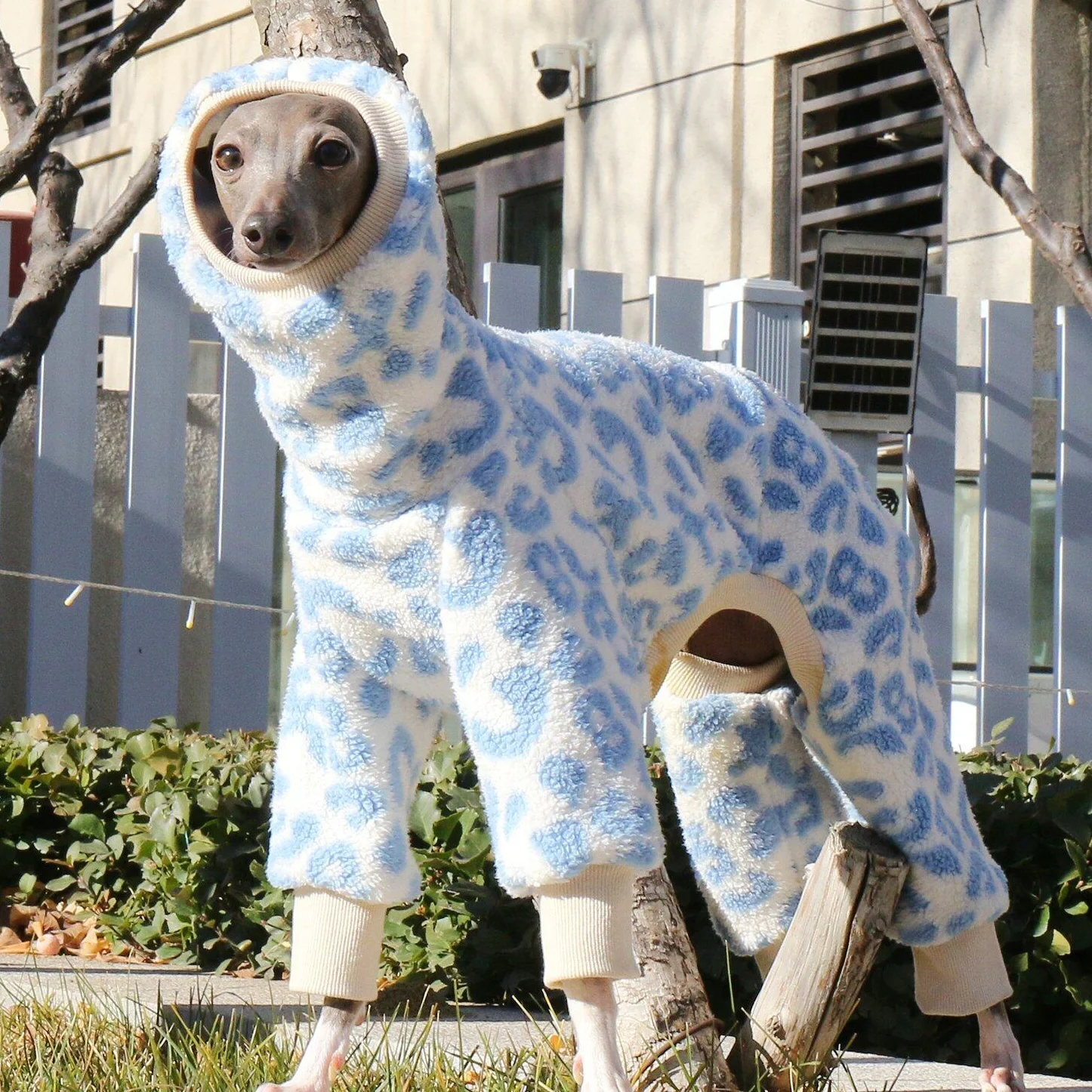 Pijama abrigada print leopardo para perros medianos, galgos y Whippet - imagen 4