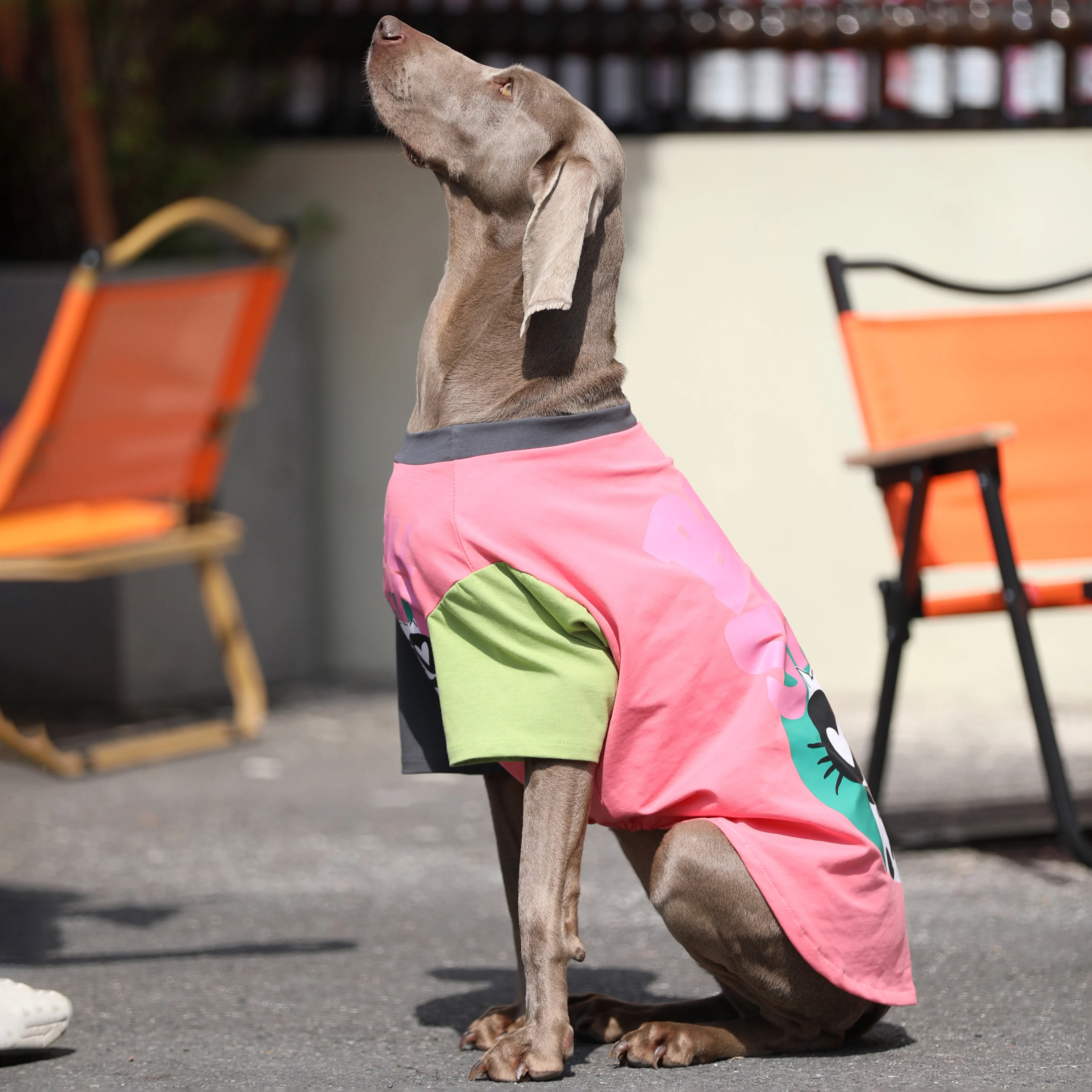 Primavera Verano Patchwork camiseta de perro grande Golden Retriever Labrador trajes moda disfraz de prevención del cabello para perros medianos y grandes - imagen 4