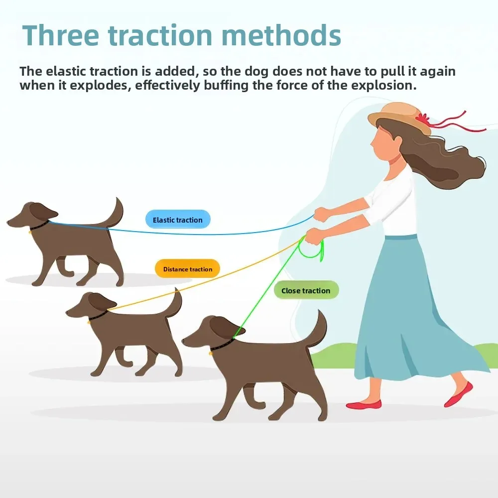 Correa elástica para perros, correa antisudor para perros Sprint con hebilla de seguridad para coche, suave cerca de cuerpo lejano, doble agarre, suministros de accesorios para perros - imagen 3