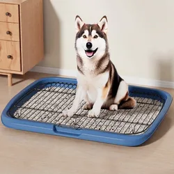 Bandeja sanitaria para perros – Entrenador de baño interior