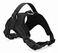 Black dog harness