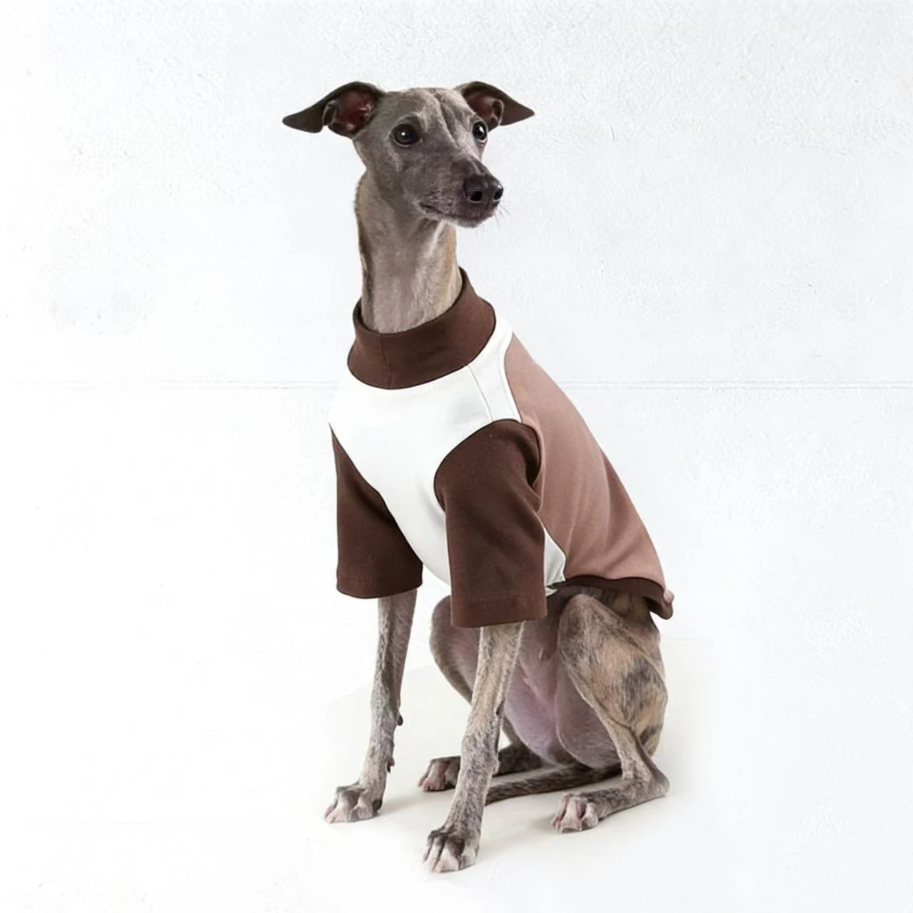 Abrigo de algodón para galgos y whippets – primavera/otoño - imagen 2