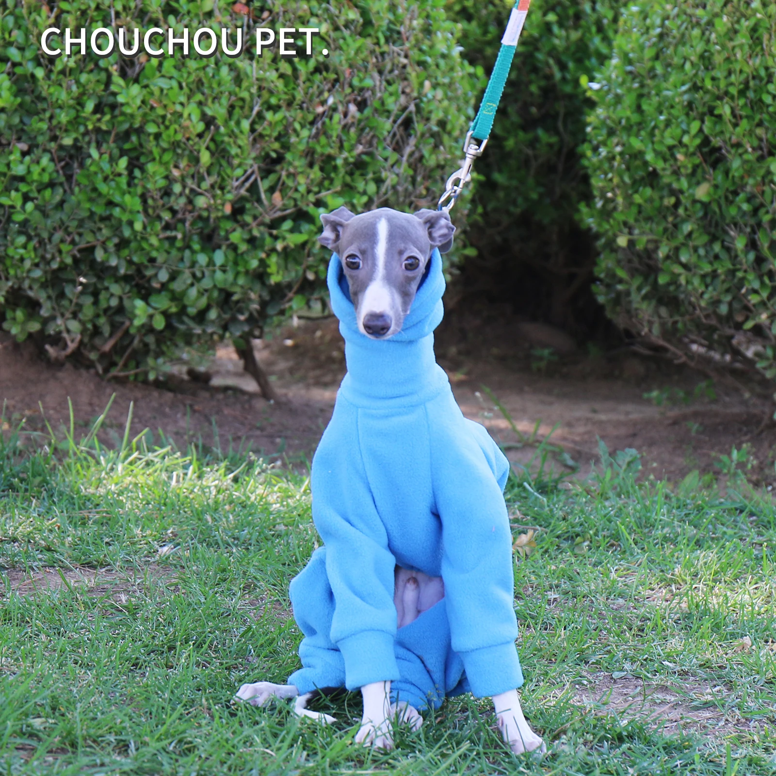 Pijamas Whippet, Mono para Perros Ancianos, Fácil de poner y Hecho a Orden en Polar Suave, Ropa de Galgo Italiano - imagen 3