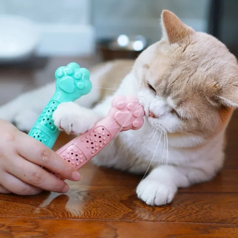 Gato lindo gato pata gato cepillo de dientes hierba gatera masticar dientes limpieza gato rascador gato juguete puede agregar hierba gatera o pasta de dientes cepillo de dientes - imagen 3