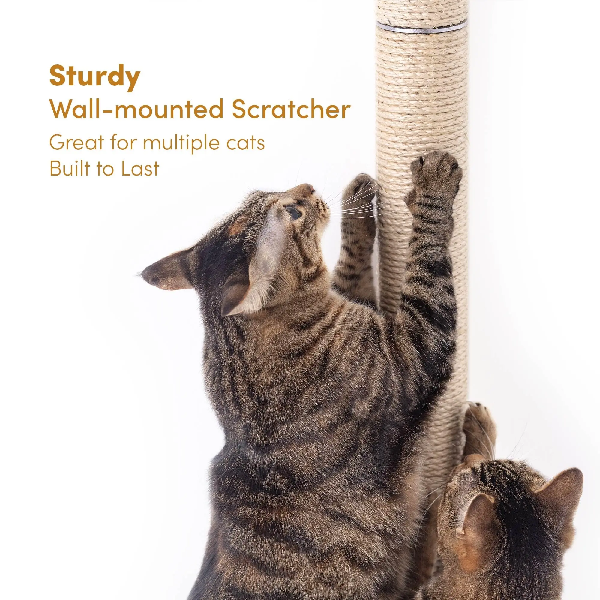 Rascador Vertical para gatos montado en la pared de Sisal Natural, poste rascador para gatos de interior, muebles para gatos, juguete para gatos - imagen 5