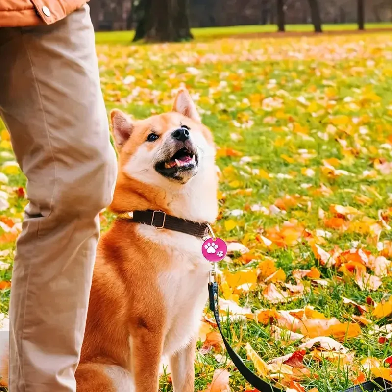 Pata redonda de aleación de Zinc, etiqueta de identificación de perro personalizada, accesorios para perros, placa de etiquetas de identificación de perro de mascota redonda personalizada de Metal, 1 ud. - imagen 3