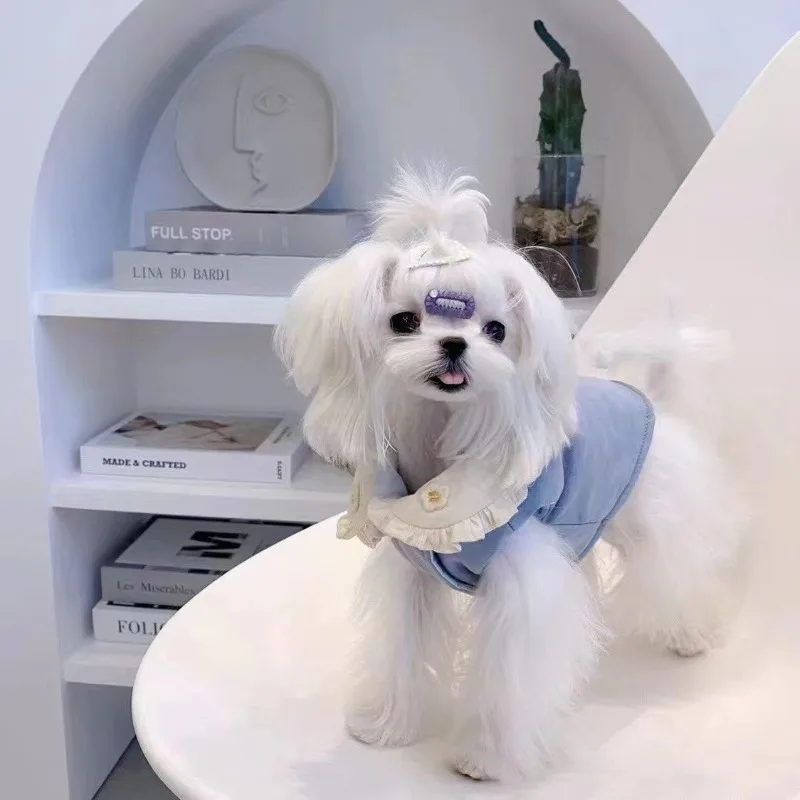 IIns mascota perro Otoño/Invierno abrigo bordado de estrellas cálido Yorkshire Teddy Bow falda de amor vestidos para perros pequeños ropa para cachorros - imagen 2