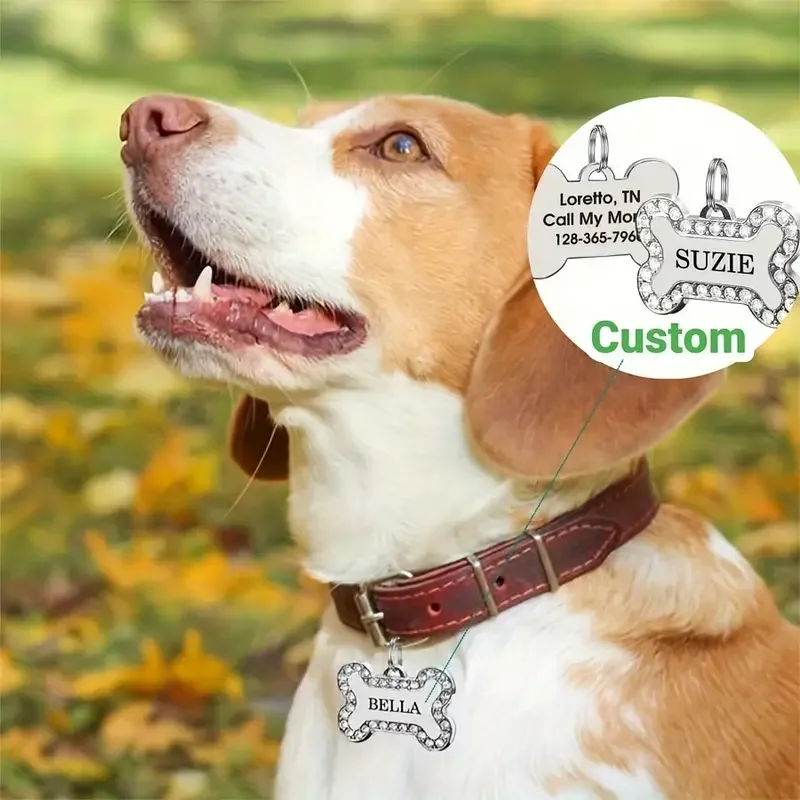 Etiquetas de identificación de mascotas de hueso de aleación de Zinc, diamantes de imitación grabados, nombre, número, dirección, Collar de perro y gato, colgante, Collar para cachorro, accesorios - imagen 3
