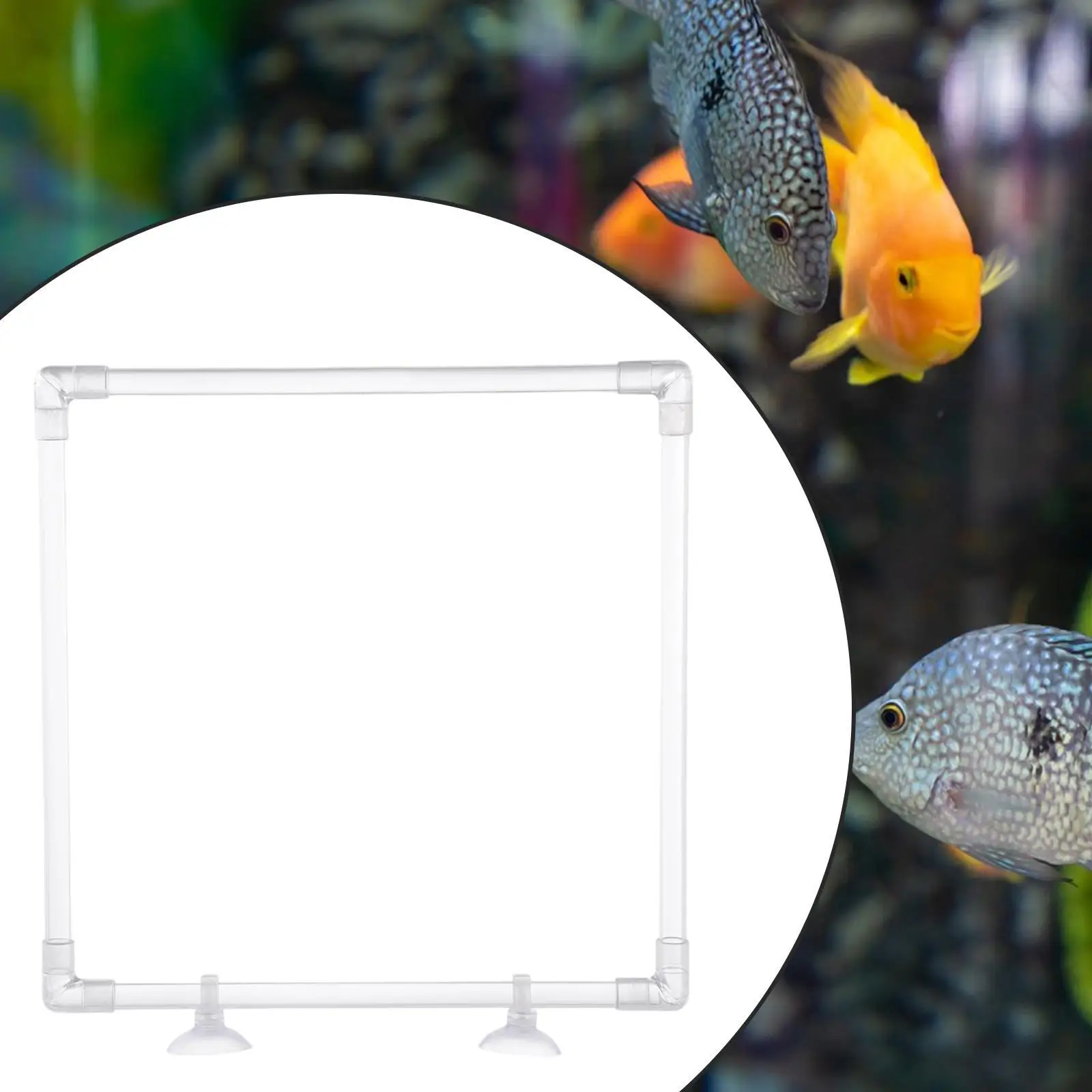 Aquarium Floating Plant Barrier Corral Fish Tank Clear Acrylic Patio Floating Plant Fence Pond Accessories Yard Easy to Install